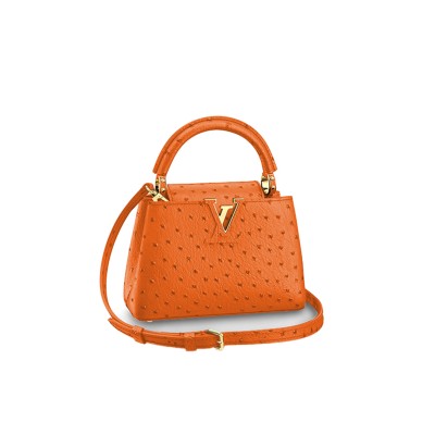 LOUIS VUITTON CAPUCINES MINI M95509 (21*14*8cm) 